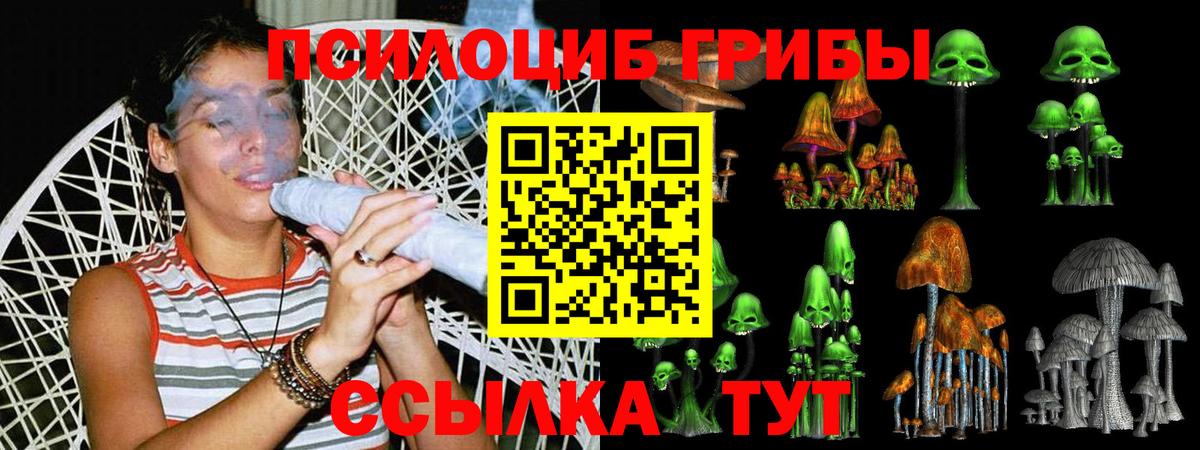 Псилоцибиновые грибы мицелий Шебекино